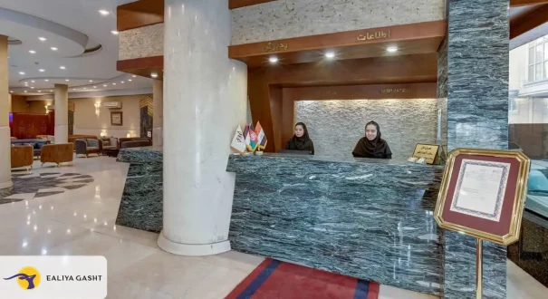 إستقبال الفندق عماد إستقبال الفندق عماد