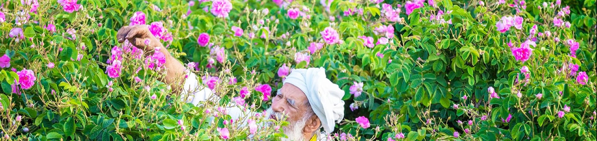 التعريف بمدينة قمصر كاشان
